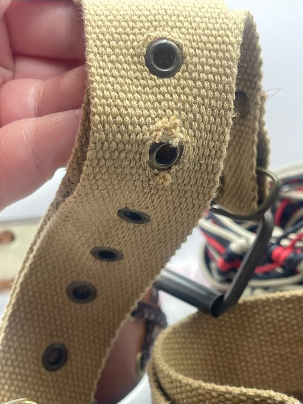 Women's Neutral and‎ Brown Fashion Belt Set of 3